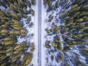 一次难忘的哈尔滨旅游经历，探寻冰雪之都的魅力