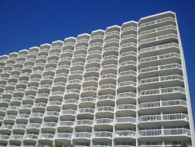 宿州市丰硕木业有限公司成立 注册资本100万人民币