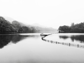 杭州，浪漫之都的魅力绽放