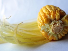 天泡子的功效与作用