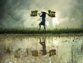 广厦最后时刻传球失误不敌上海，挑战与反思