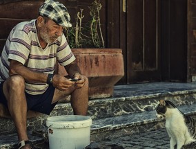 土耳其，爱猫人士的天堂