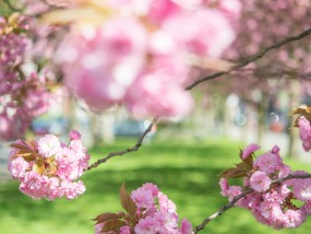今日惊蛰，唤醒春天的力量