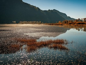科罗拉多大峡谷旅游，寻找当地华人旅行社，畅游四方之美
