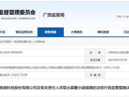 年度报告披露延误！中投创新及相关责任人被出具警示函