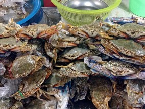 三亚旅游热门攻略，费用、必打卡景点、美食与住宿指南