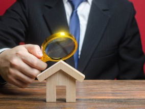 如何评估大型养生项目的特点？这些特点对生活有何改变？