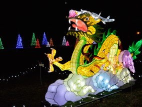 十二生肖中的天肖，神秘与文化的交织