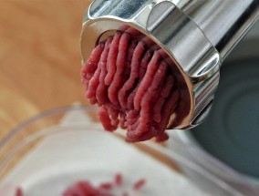 食品安全监管需与时俱进，绞肉机中的活蛆不能仅靠家长陪餐发现