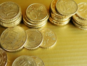 石家庄鸿羽工艺品有限公司成立 注册资本100万人民币