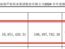 儿药龙头葫芦娃跌落“神坛”：业绩暴雷亏损2.74亿元，内控问题频发，股票被“戴帽”警示
