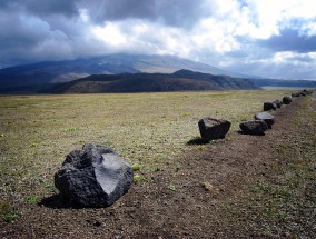 西藏旅行全攻略，实用教程与深度体验