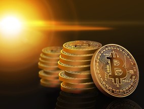 天元宠物:发行股份及支付现金购买资产并募集配套资金暨关联交易报告书（草案）