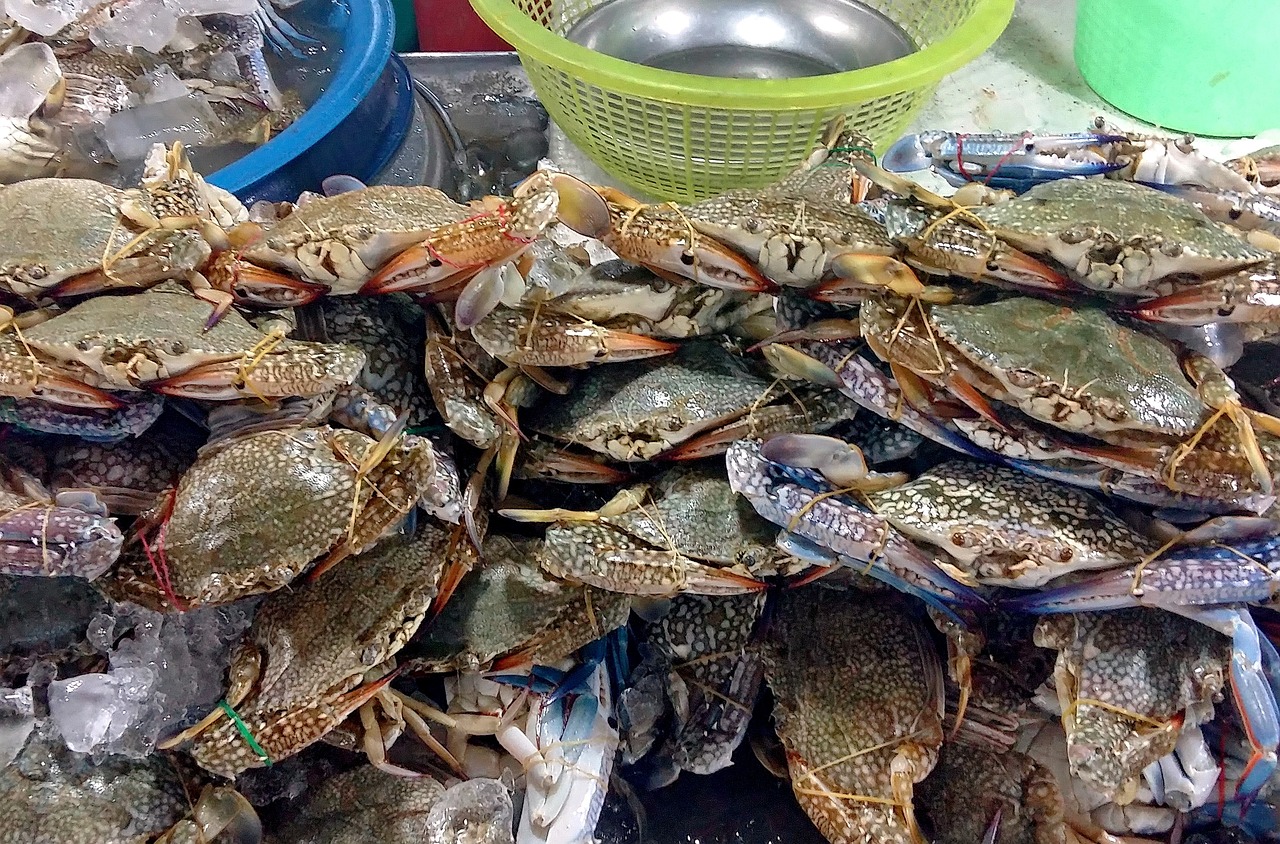 三亚旅游热门攻略,费用、必打卡景点、美食与住宿指南 三亚旅游热门攻略,费用、必打卡景点、美食与住宿指南